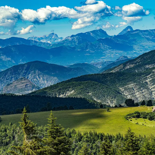 La crête des mélèzes n°33