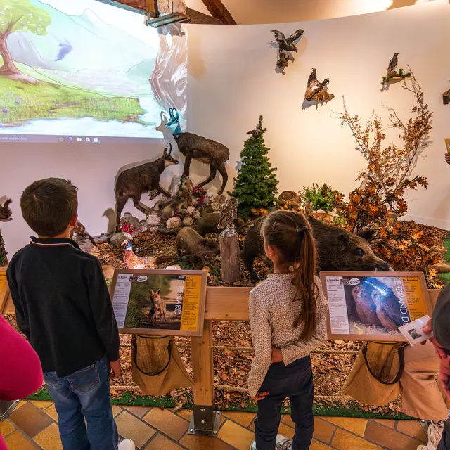 Visite guidée et racontée au Musée Patrimonial du Pays de Thônes_Thônes