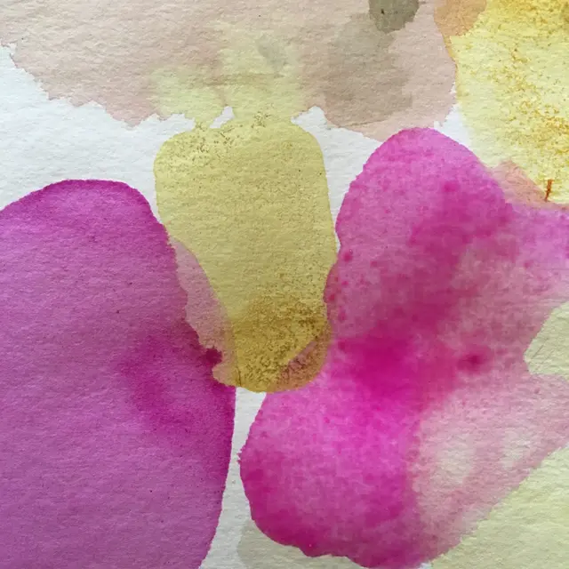 Atelier papier et encre végétale_Rayol-Canadel sur Mer