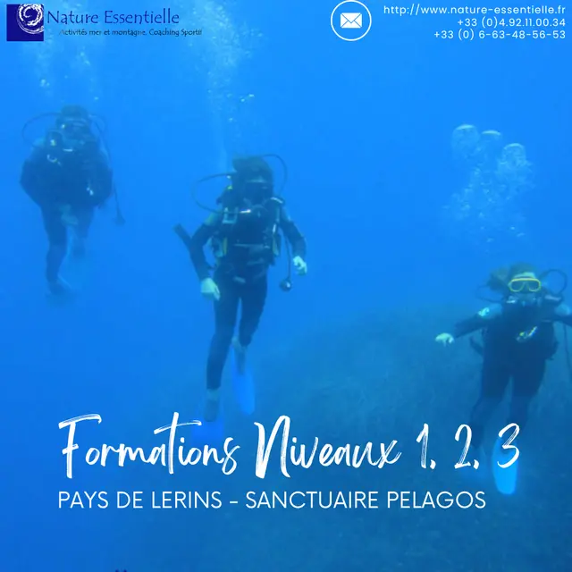 Formation plongée