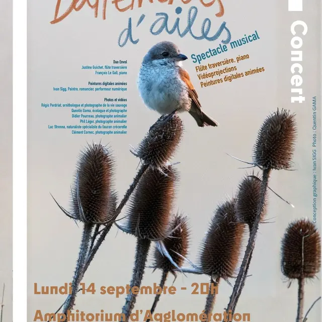 Affiche Battements d'ailes