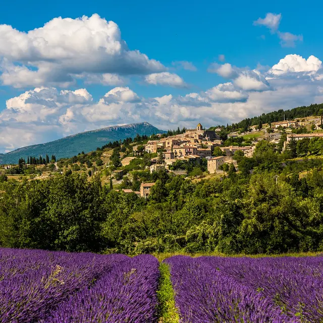 Le village d'Aurel_lavandes