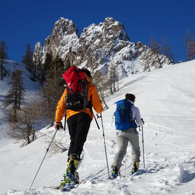 Ski de randonnée