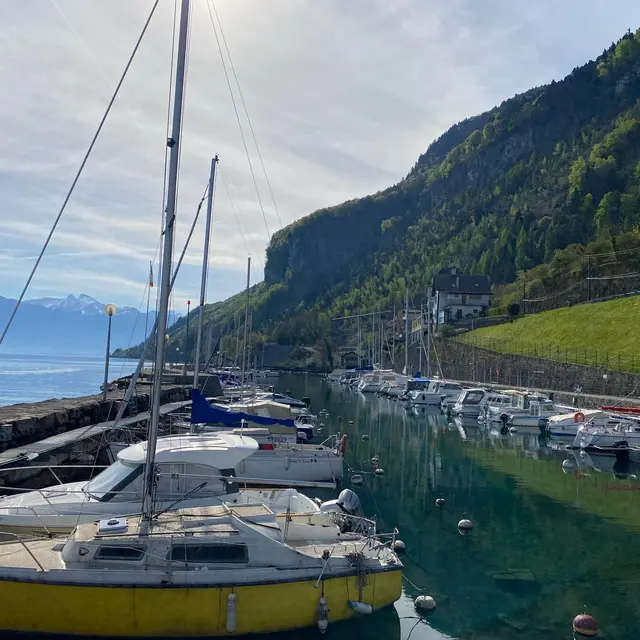 De la montagne au lac - randonnée_Thollon-les-Mémises