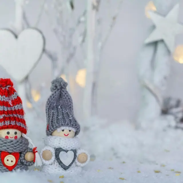 Exposition éphémère du conservatoire de la connaissance_Sainte-Maxime