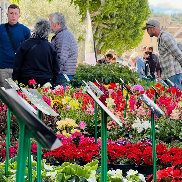 Les Fleuralies_Vaison-la-Romaine