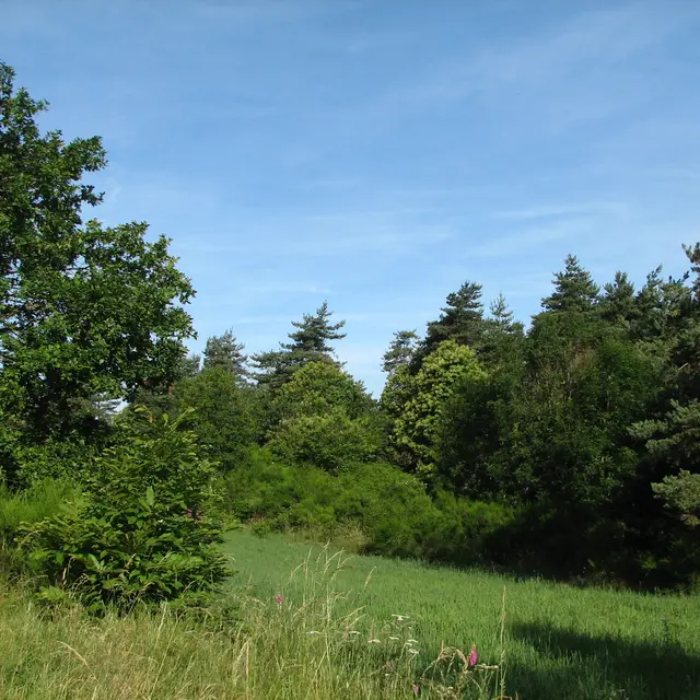 Sentier de Biesse