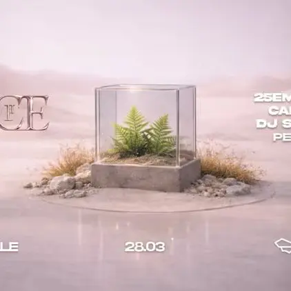 Rslce : Caravel, 25emeheure, Dj Schnake & Peaksou_Marseille