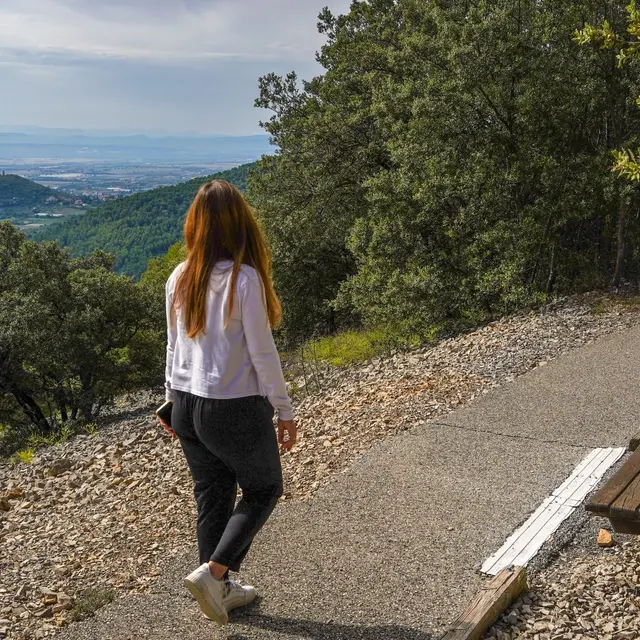 Itinéraire pédestre Sentiers de la forêt de Pélicier_Manosque