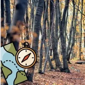 Le labyrinthe de la forêt (8 à 13 ans)_Ceyzérieu