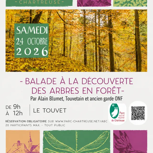 affiche animation