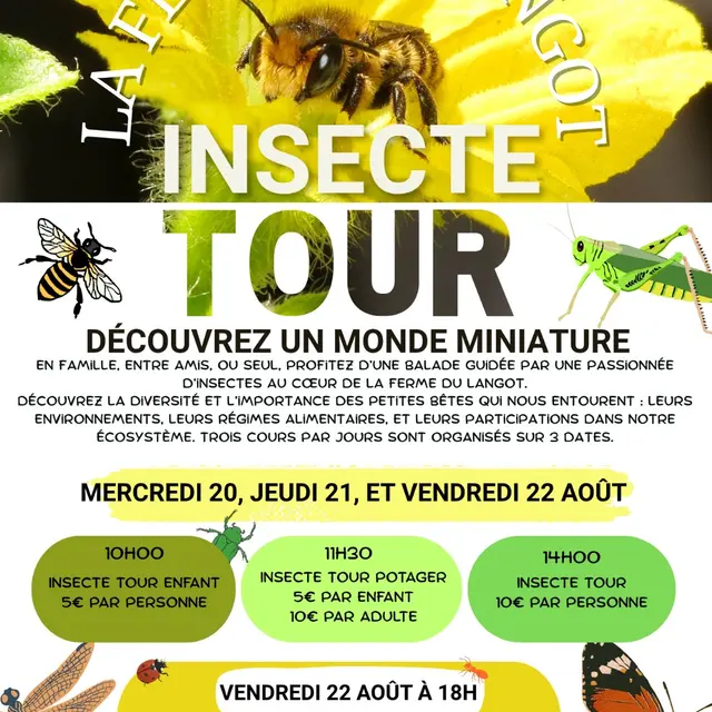 Insecte Tour