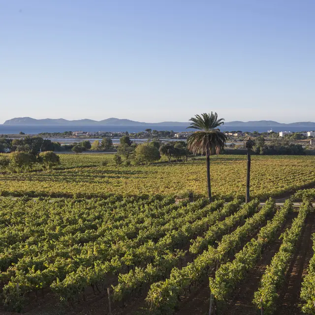Château Galoupet_La Londe-les-Maures