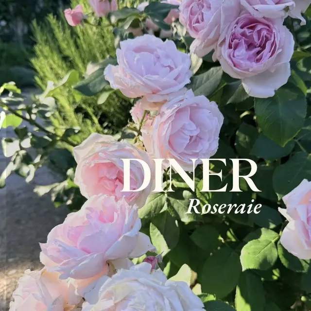 Dîner Roseraie au Domaine de Fontenille_Lauris