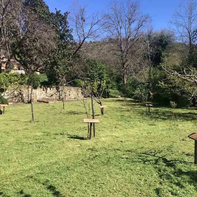 Côté verdure à Collobrières