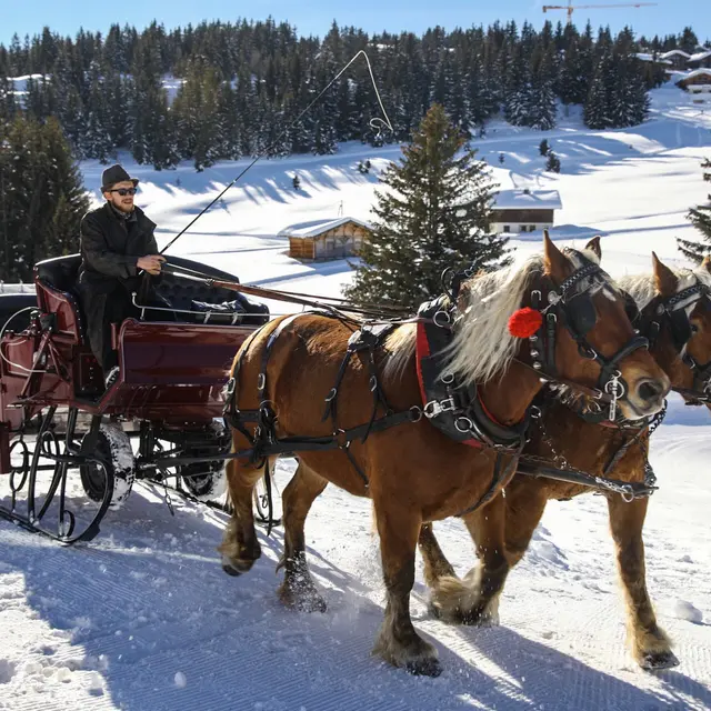 balade-traineau-sur-neige