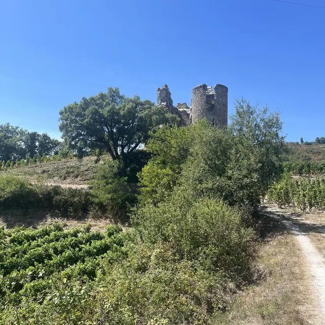 Visite commentée du château de Larnage et des carrières - Journées Européennes du Patrimoine_Larnage