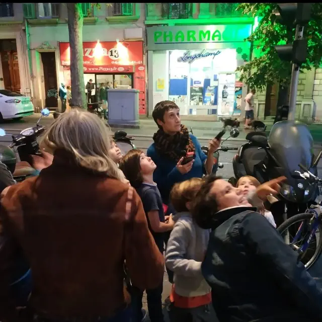 Observation des chauves souris