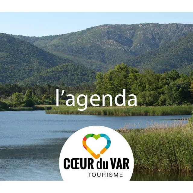 Réveillon du nouvel an_Le Luc