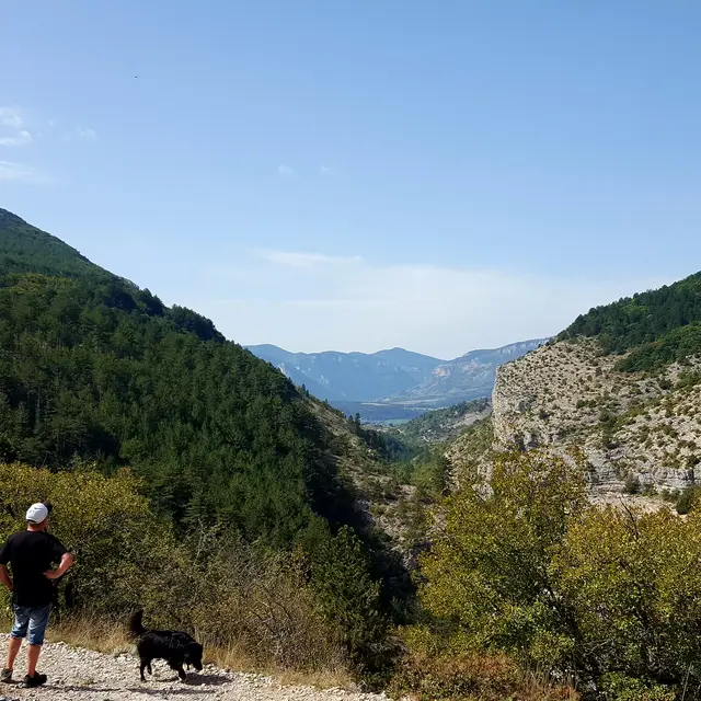 Forêt Domaniale du Beynon