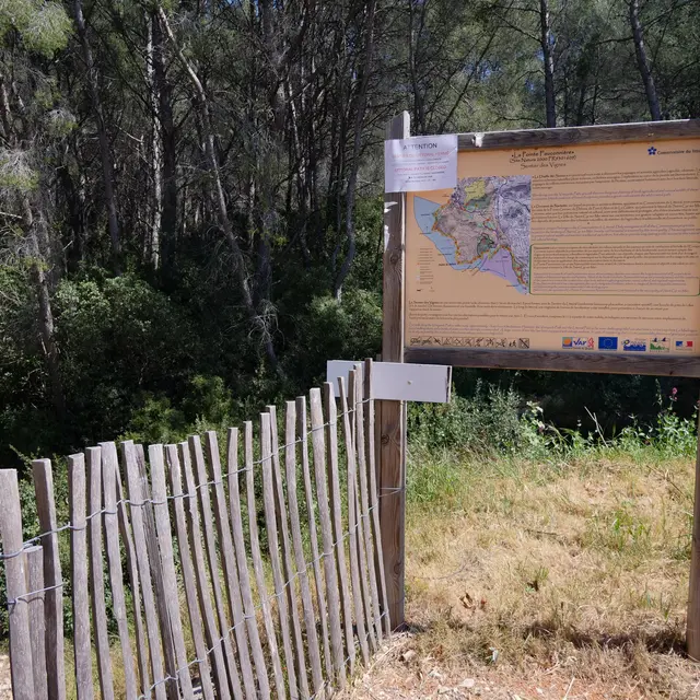 Le sentier des vignes
