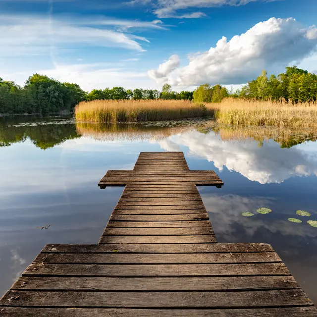 Etangs de Crosagny_Saint-Jorioz