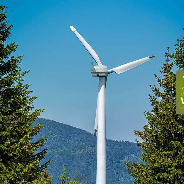Visite commentée des Eoliennes de Saint-Clément