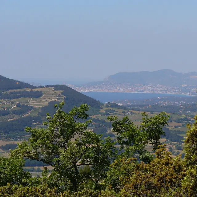 Vue du Beausset-Vieux