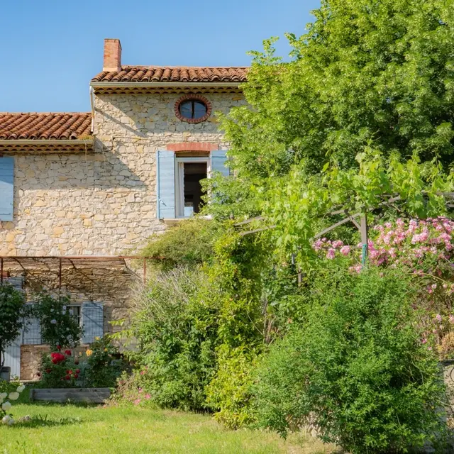 Les Tilleuls d'Elisée_Vaison-la-Romaine