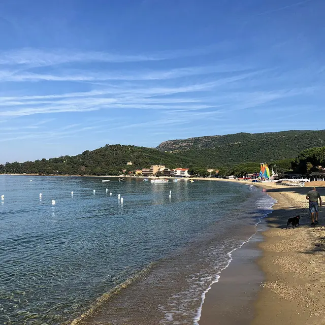Cavalière