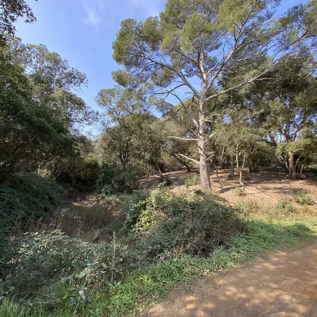 Vallon de Fortuné