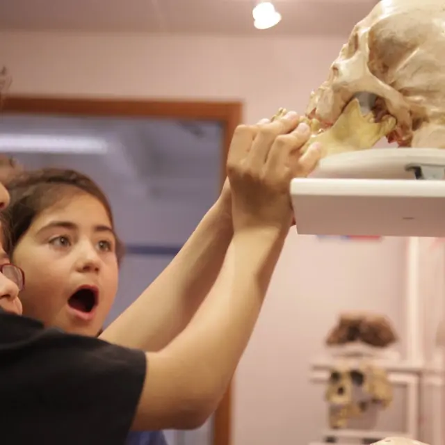 Journée Européenne de l'archéologie_Sciez