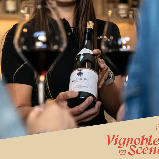 Visite de nos vignes et dégustation en accords mets et vins - M. CHAPOUTIER_Tain-l'Hermitage