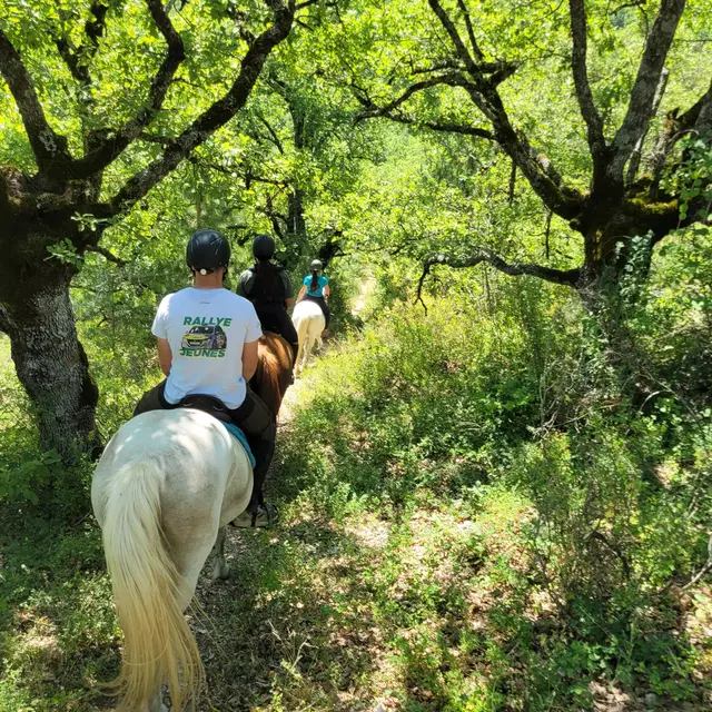 Tour de Ribiers à cheval