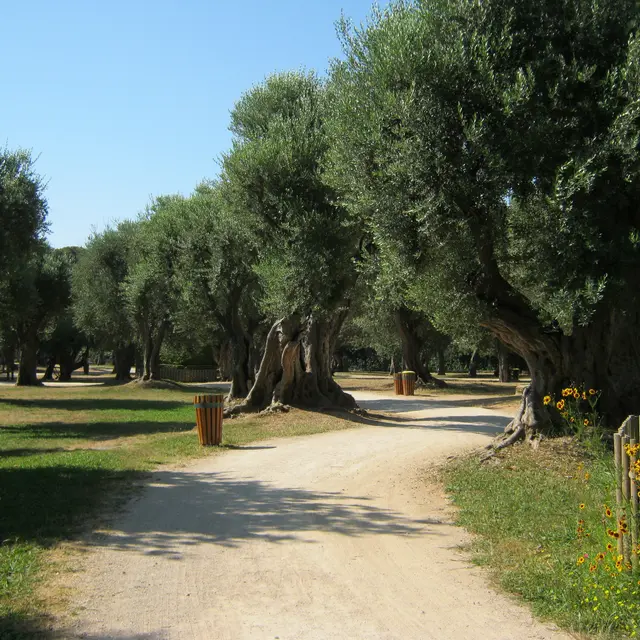 Parc du Cap Martin