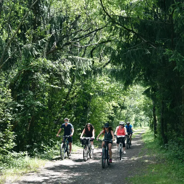 sentier VTT : boucle des Ilettes