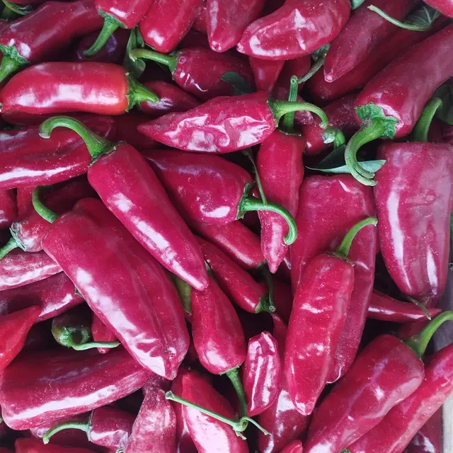 Atelier du samedi Piment de Bresse_Val-Revermont