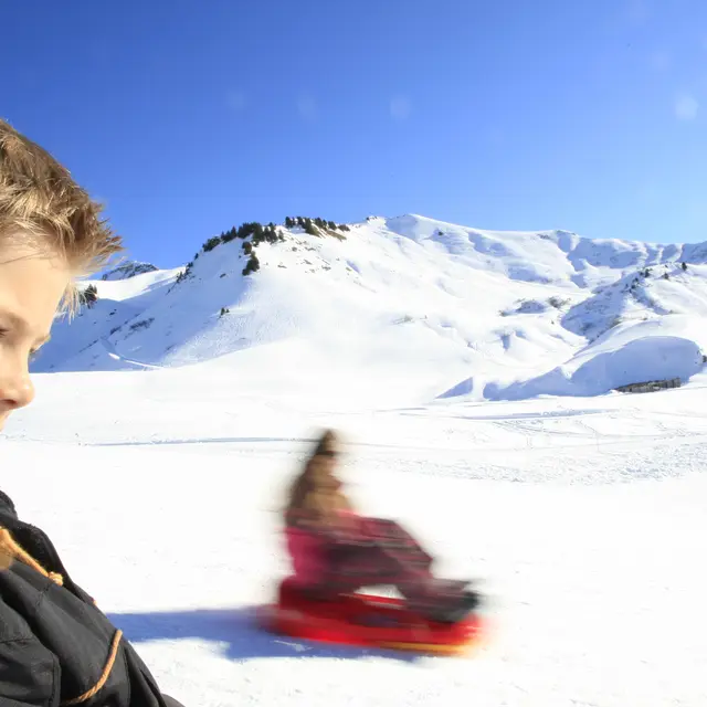 Luge