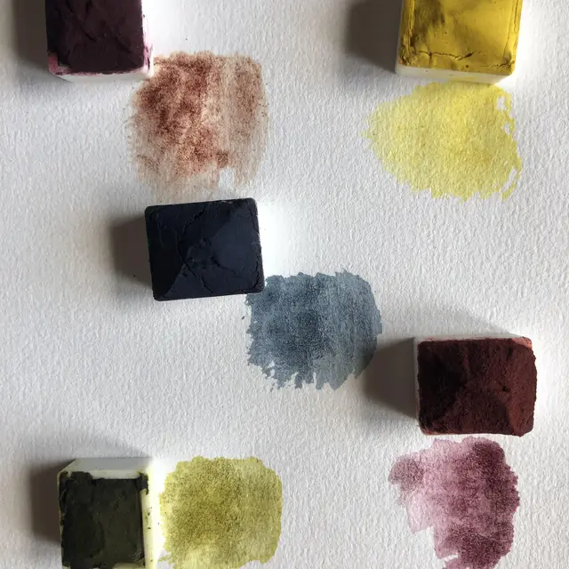 aquarelles végétales