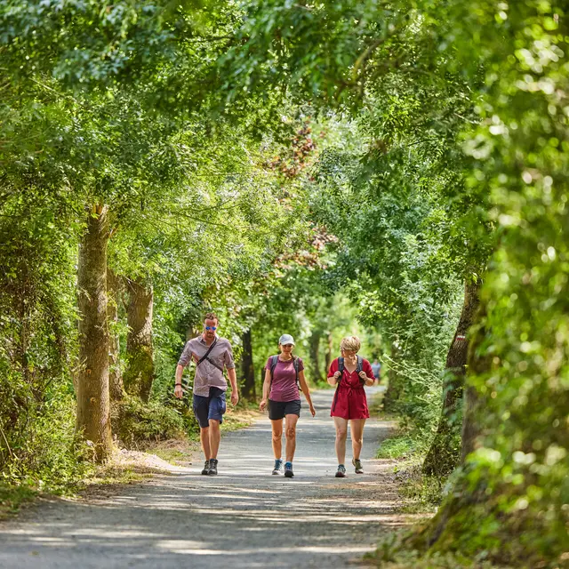 Chemin de Saint-Jacques de Compostelle_Angers