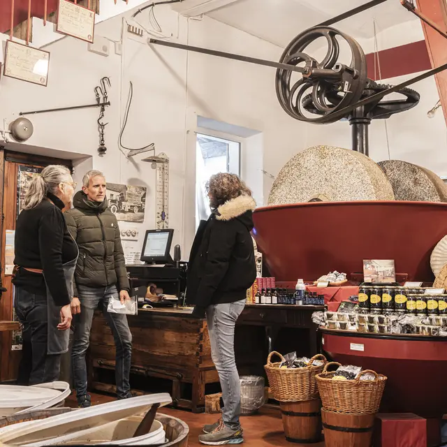 Visite guidée du Moulin à Huile Ramade_Nyons
