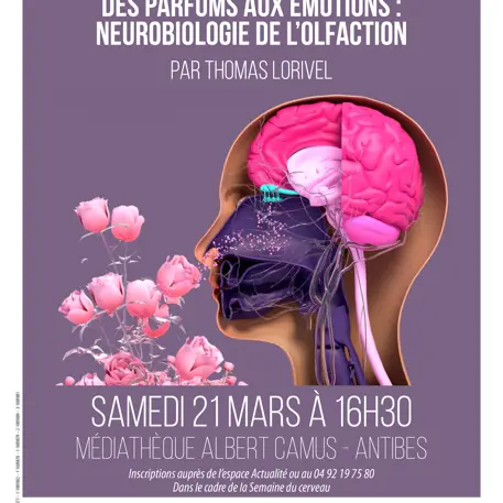 Des parfums aux émotions: neurobiologie de l'olfaction._Antibes