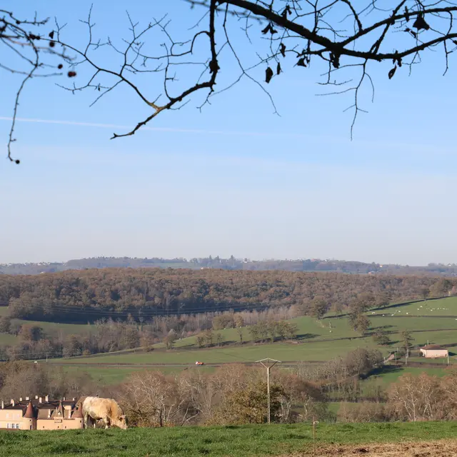 Paysage PR18