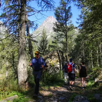 Le chemin des Diligences_Vallorcine