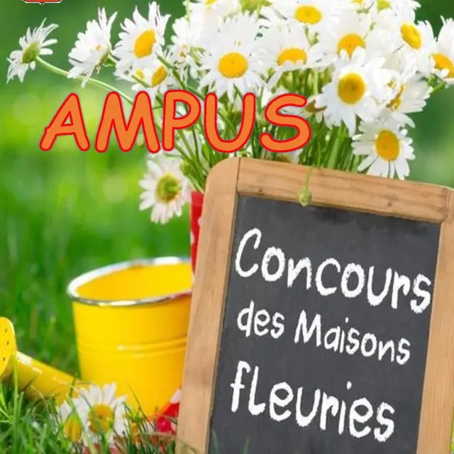 Concours des maisons fleuries_Ampus