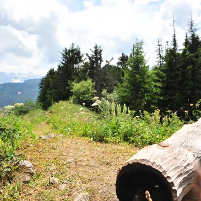 Randonnée Pas de Fécon Morgins