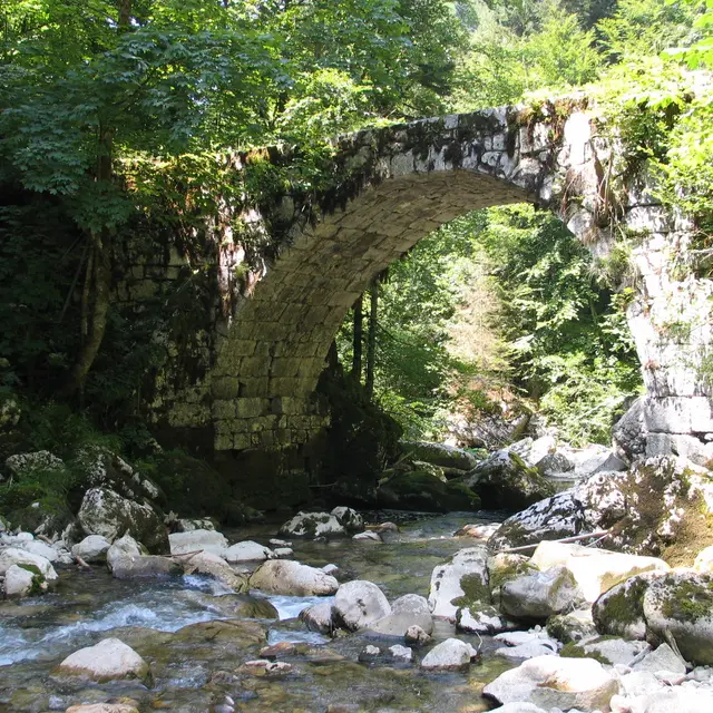PONT DE LA TANNERIE