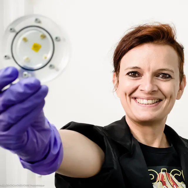 Conférences scientifiques au Naturoptère - Les champignons de l'Apocalypse_Sérignan-du-Comtat
