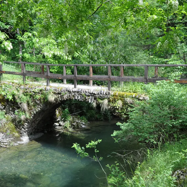 sentier interprétation cyril darius