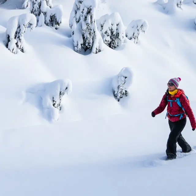 Raquette à neige